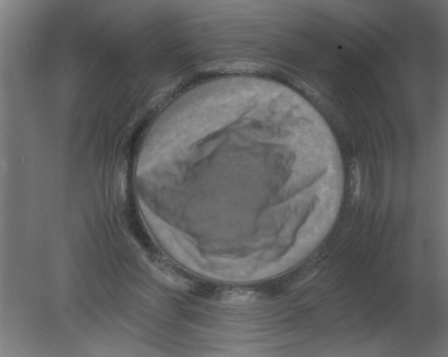 X0000080810206200701122249