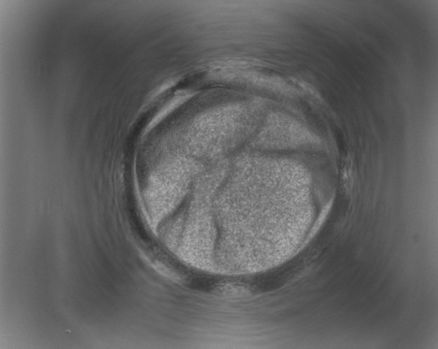 X0000080810207200701122249