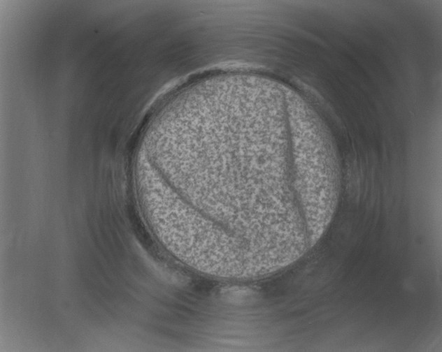 X0000080810208200701122249