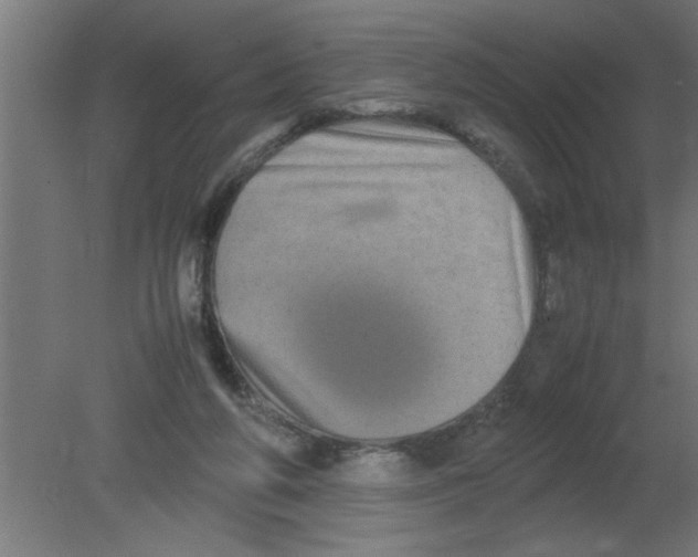 X0000080810210200701122249