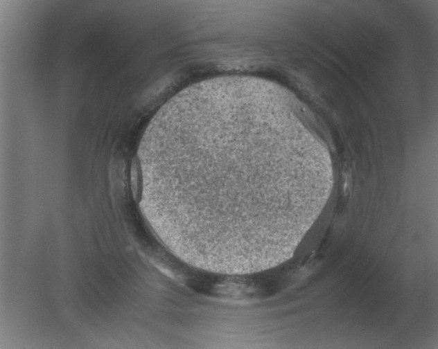 X0000080810211200701122249