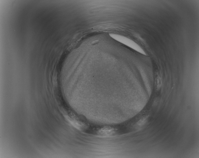 X0000080810213200701122249