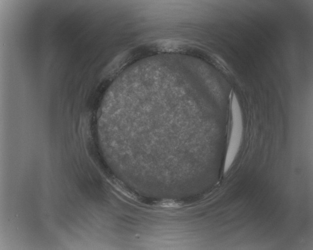 X0000080810217200701122249