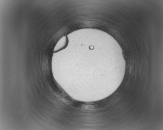 X0000080810220200701122249