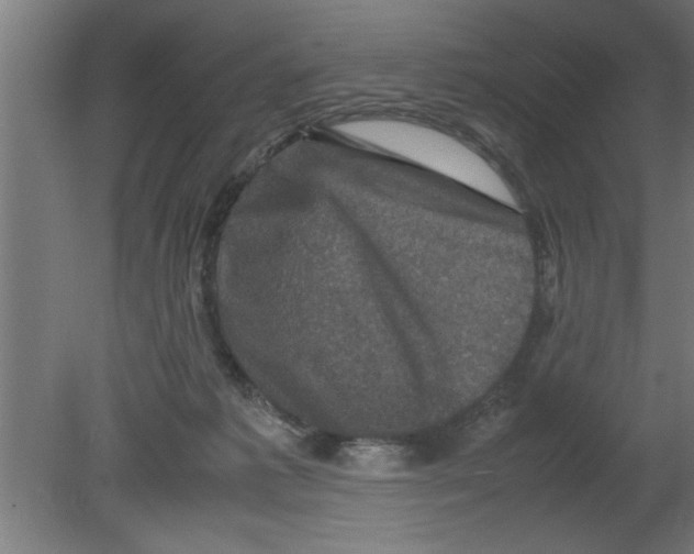 X0000080810221200701122249