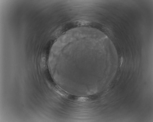 X0000080810222200701122249