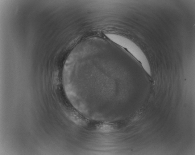 X0000080810224200701122249