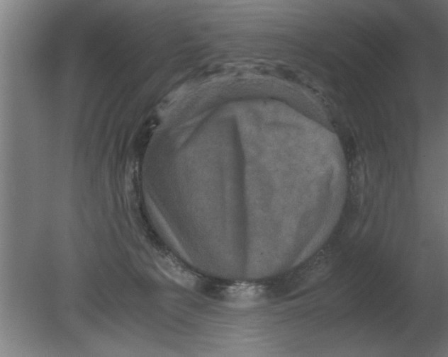 X0000080810225200701122249