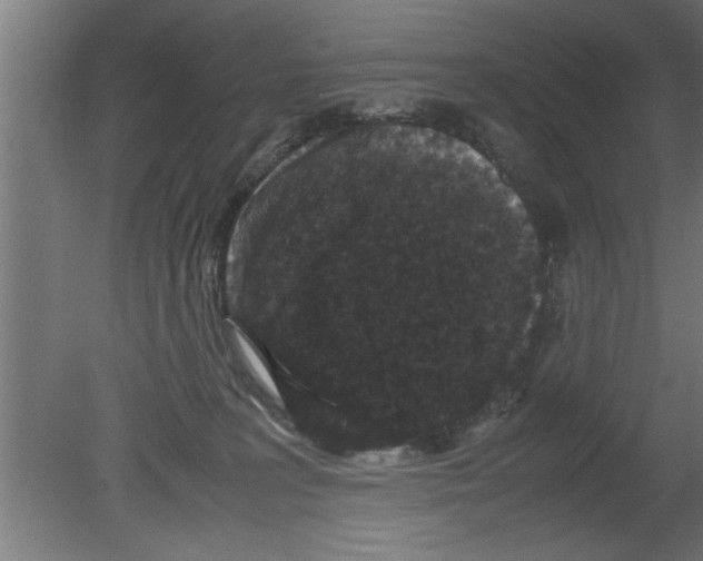 X0000080810227200701122249