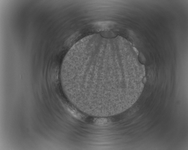 X0000080810230200701122249