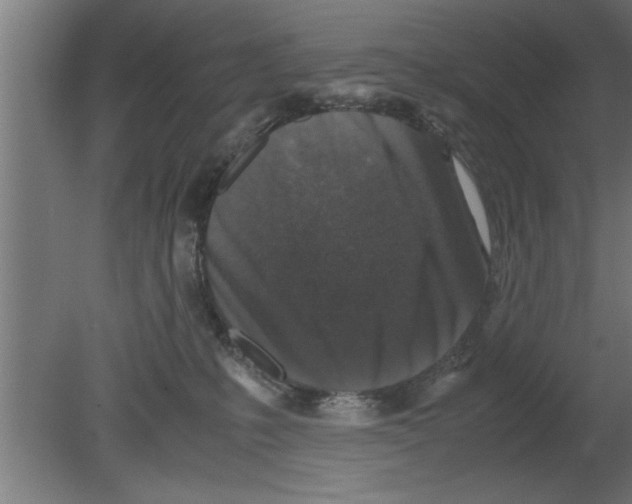 X0000080810231200701122249