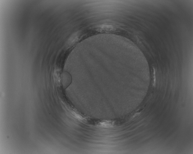 X0000080810232200701122249