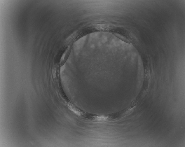 X0000080810233200701122249