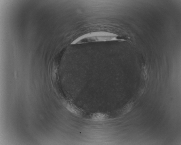 X0000080810235200701122249