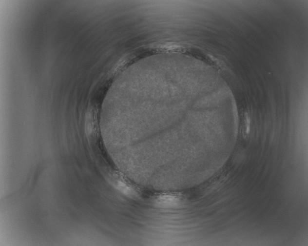 X0000080810236200701122249