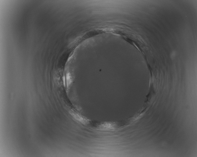 X0000080810237200701122249