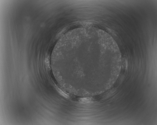 X0000080810238200701122249