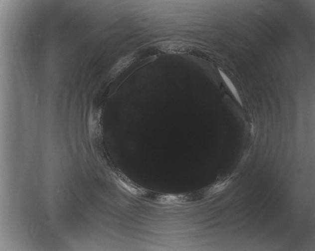 X0000080810239200701122249