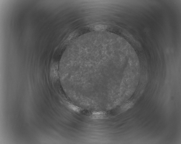 X0000080810240200701122249