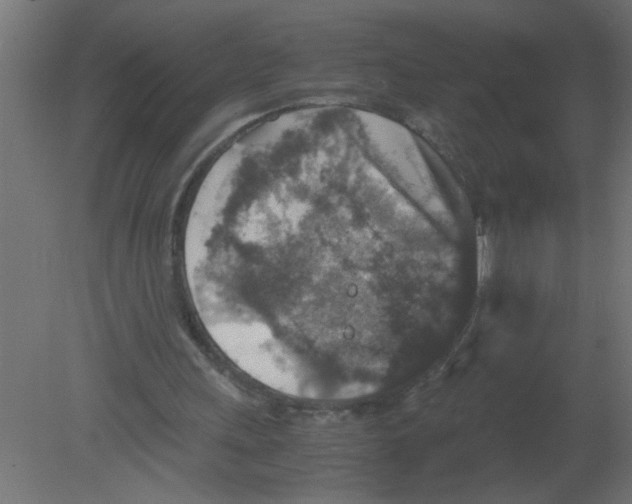 X0000080810243200701122248