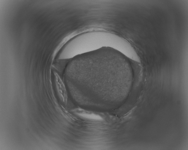 X0000080810244200701122248