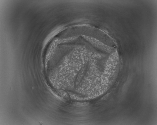 X0000080810245200701122248