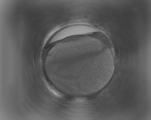 X0000080810248200701122248