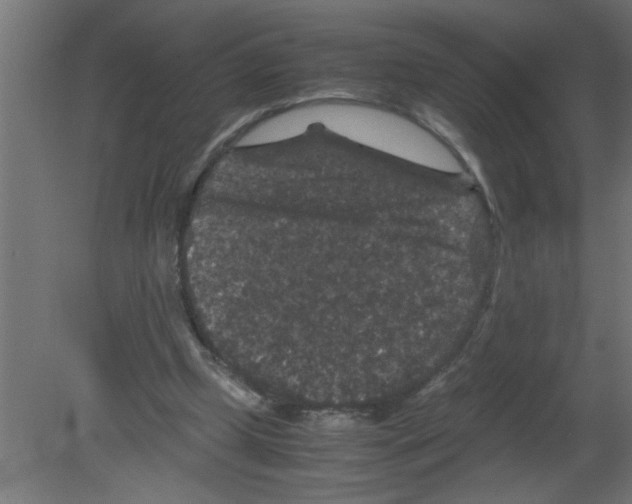 X0000080810249200701122248