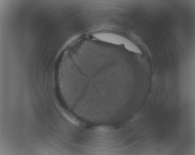 X0000080810250200701122248