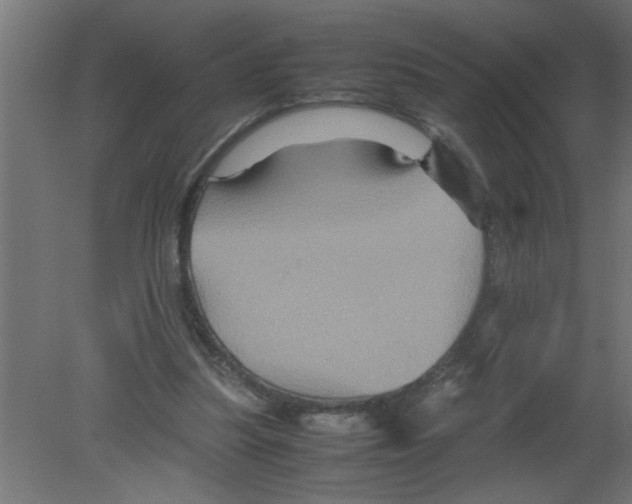 X0000080810251200701122248