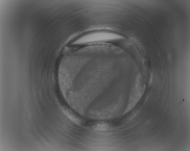 X0000080810256200701122248