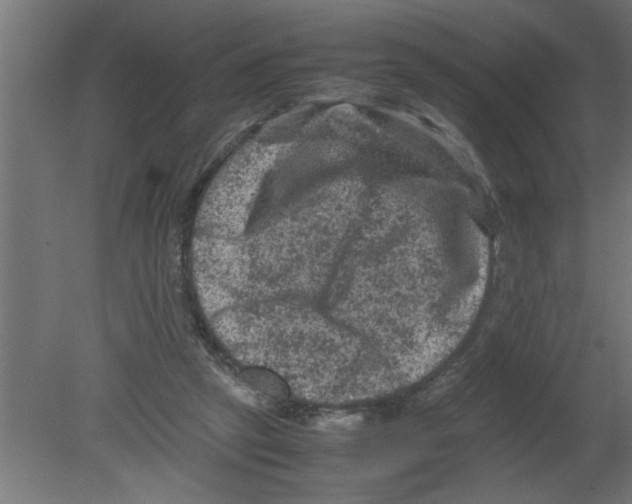 X0000080810257200701122248