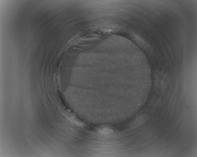 X0000080810258200701122248