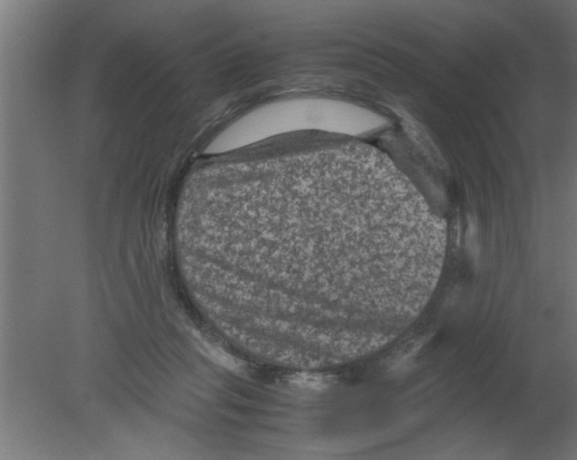 X0000080810261200701122248