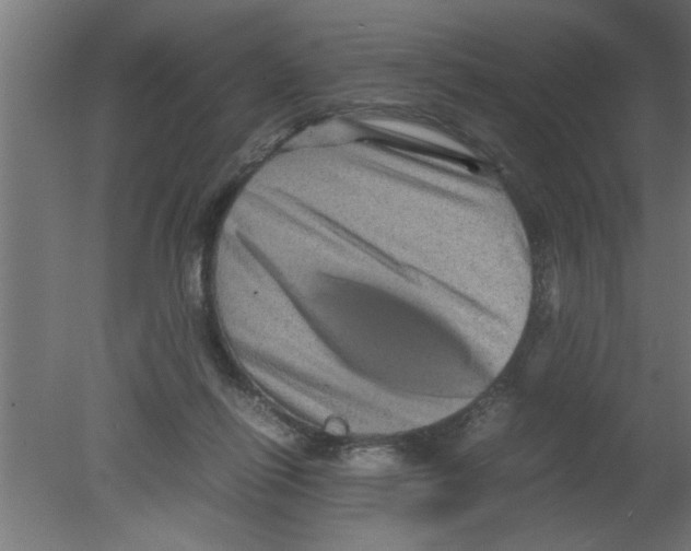 X0000080810262200701122248