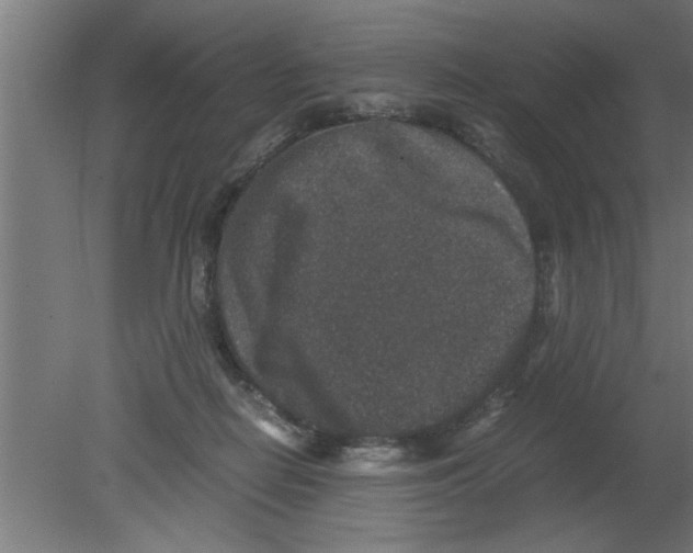 X0000080810266200701122248