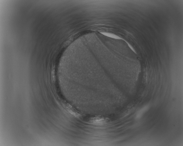 X0000080810267200701122248