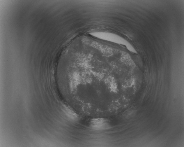 X0000080810269200701122248