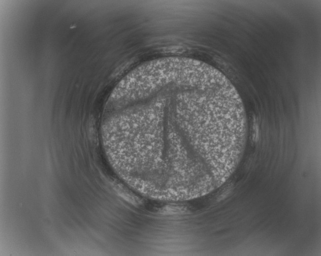 X0000080810270200701122248