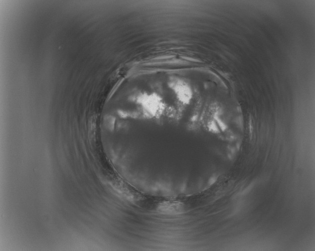 X0000080810271200701122248