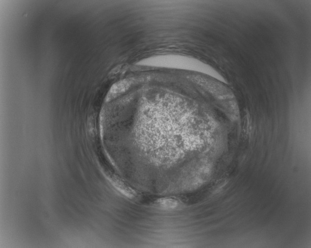 X0000080810272200701122248