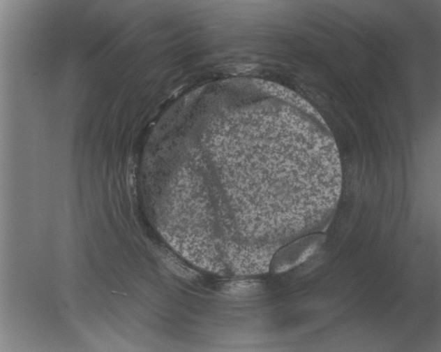 X0000080810274200701122249