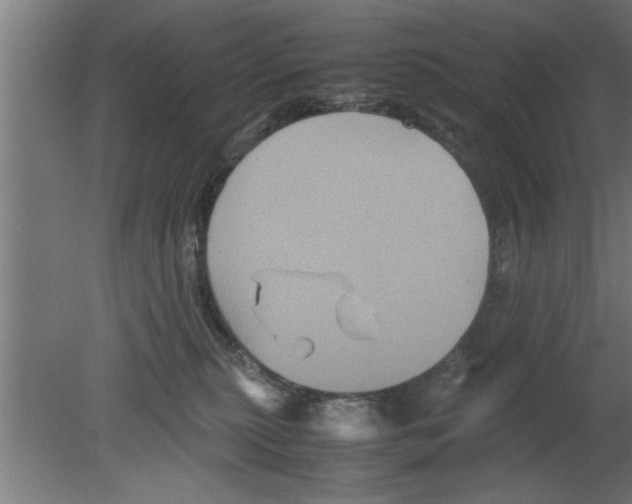 X0000080810279200701122249