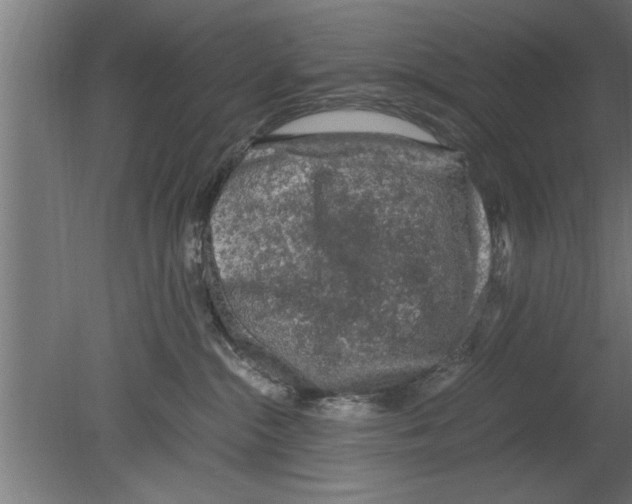 X0000080810284200701122249