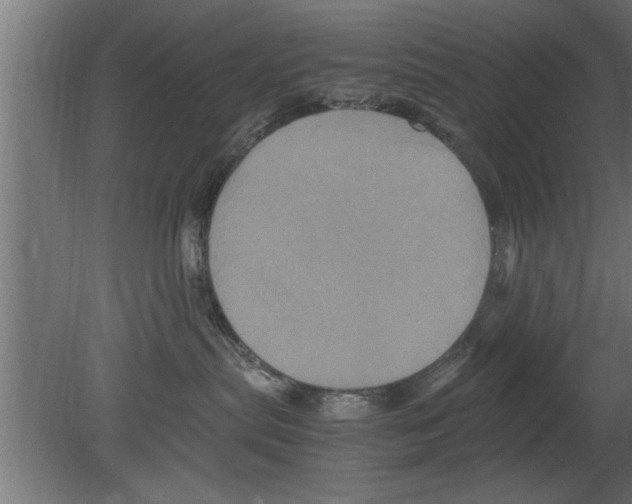 X0000080810287200701122249