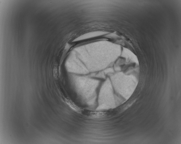 X0000080810288200701122249