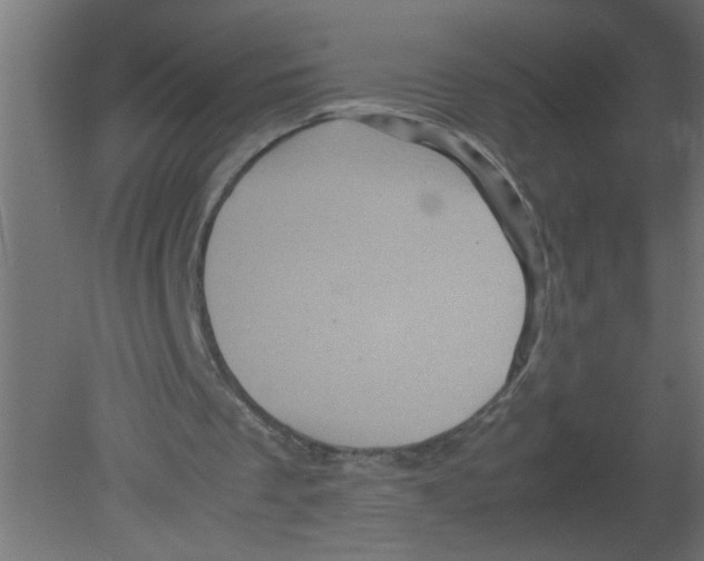 X0000080810289200701122248