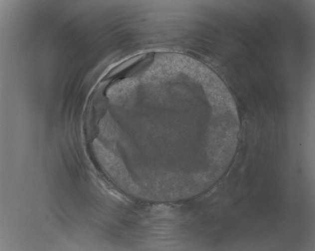 X0000080810290200701122248