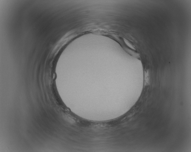 X0000080810291200701122248