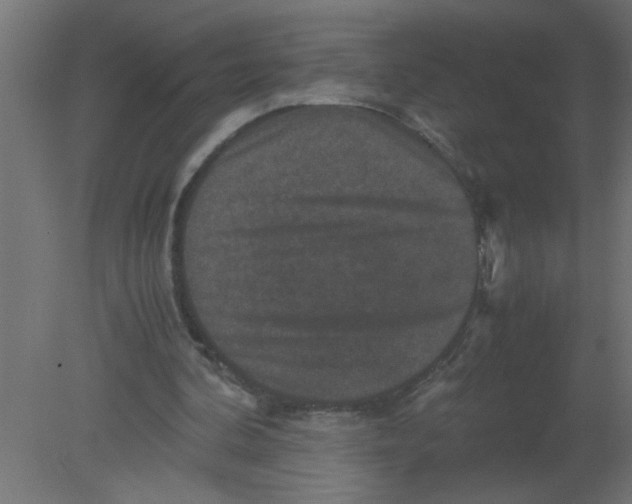 X0000080810292200701122248